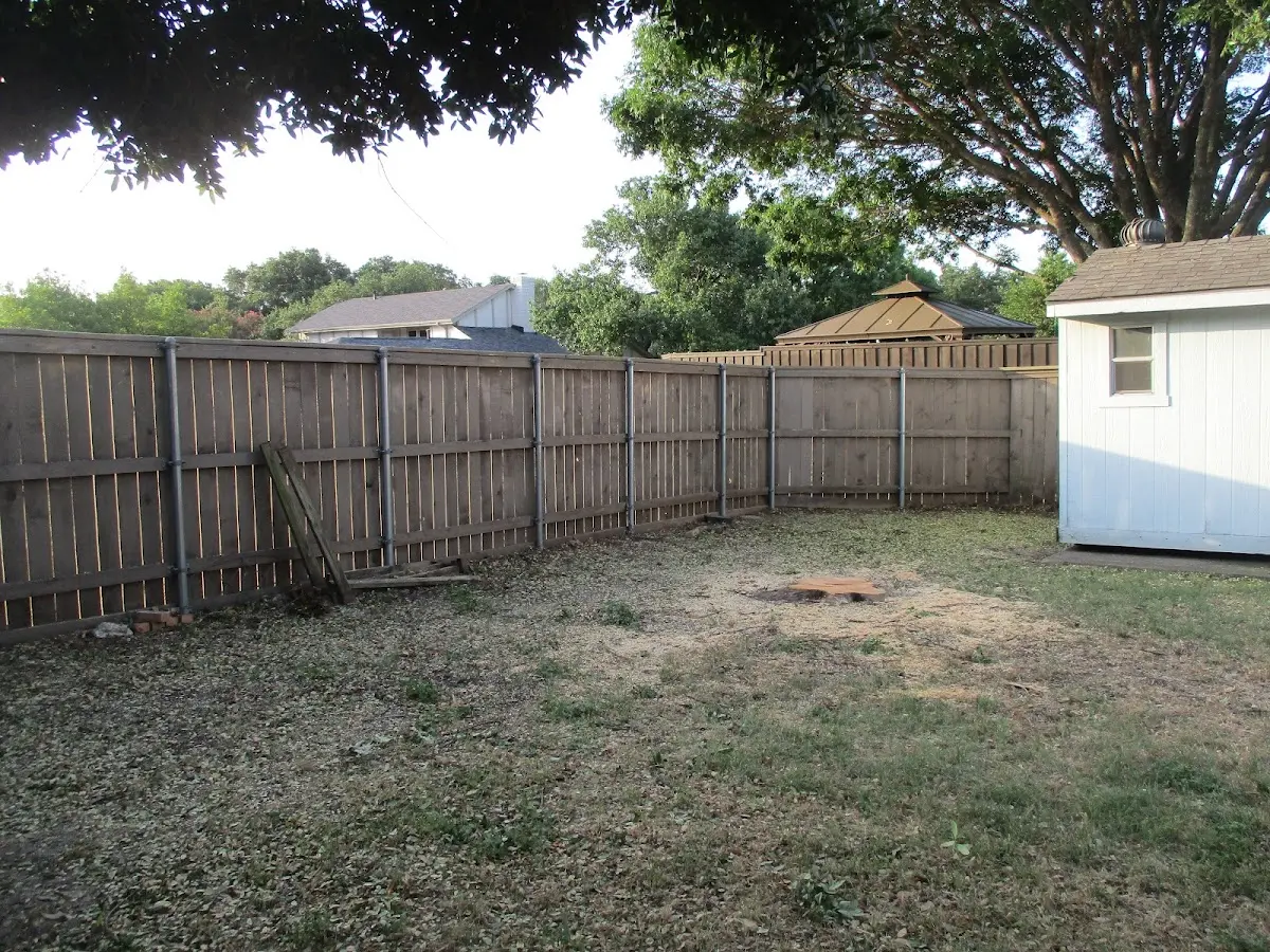 Cleared yard after professional tree removal in Poston